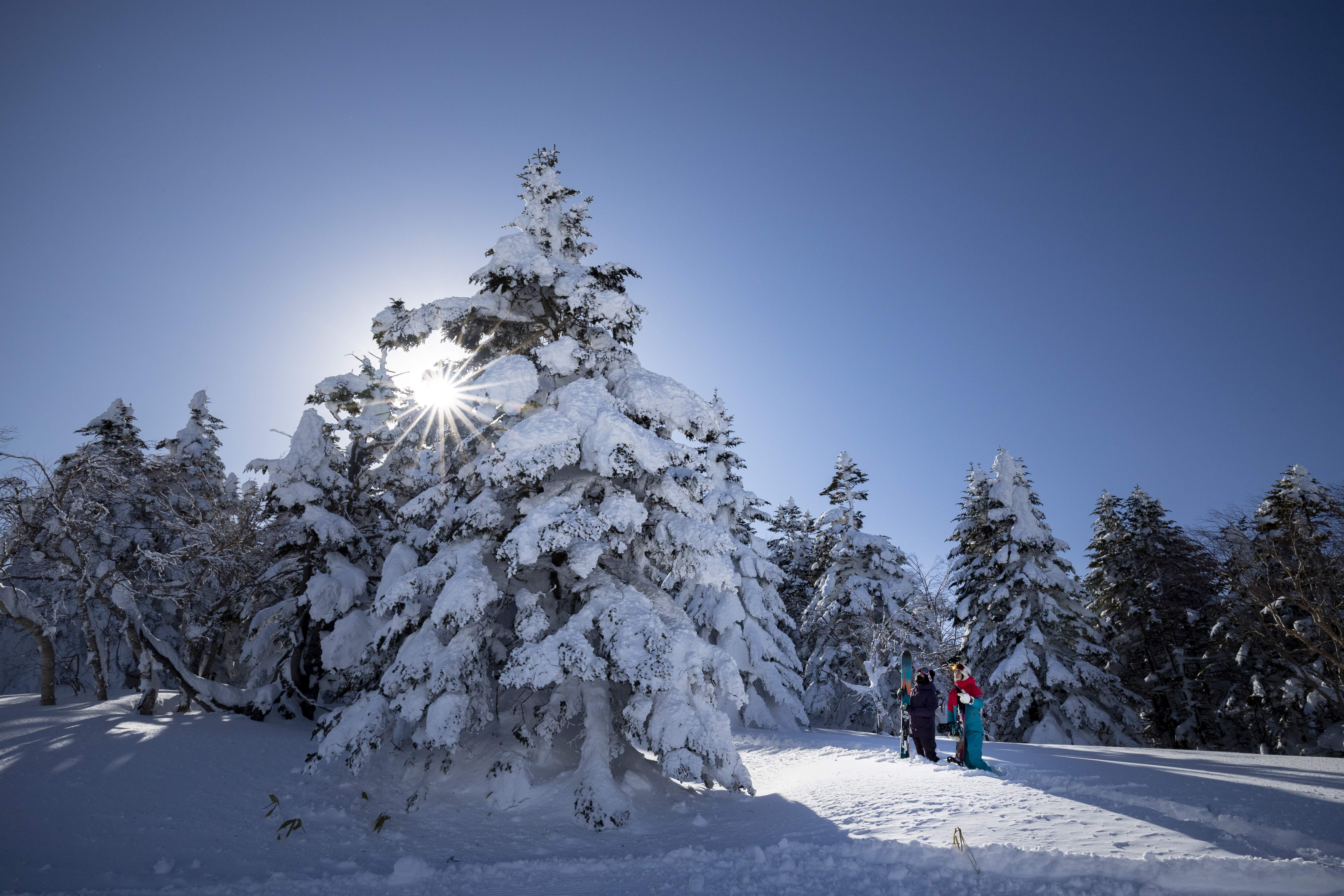 Sugadaira Kogen Tourism Association